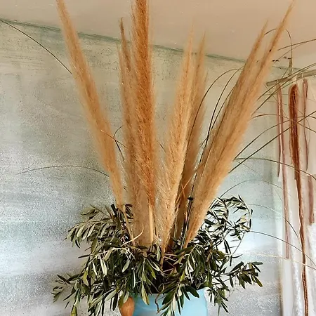 Ashram Sunshine Bed & Breakfast