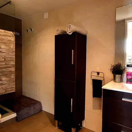 Ashram Sunshine سيدجيس