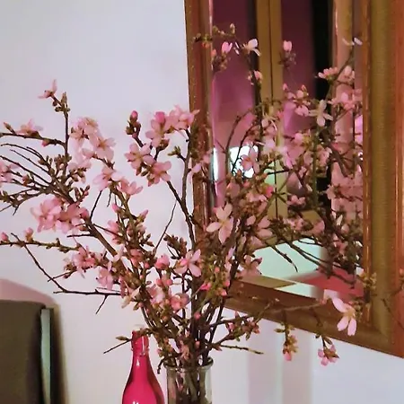 Nocleg ze śniadaniem Ashram Sunshine