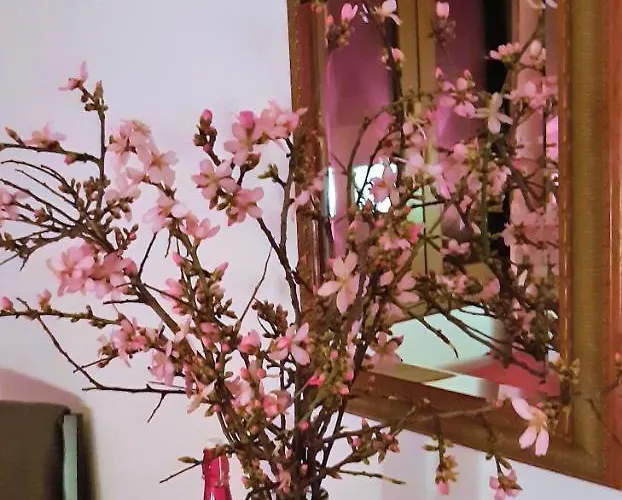 Bed and Breakfast Ashram Sunshine