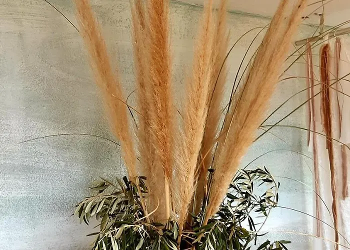 Ashram Sunshine Bed and Breakfast