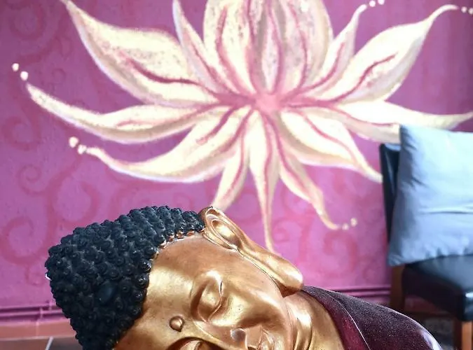 Ashram Sunshine Σίτζες