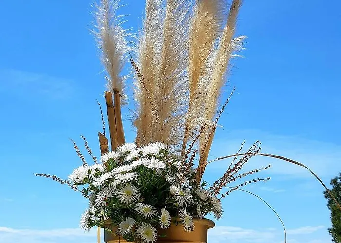 Ashram Sunshine * Sitges