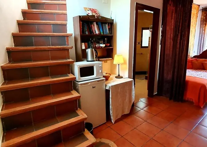 Ashram Sunshine Σίτζες