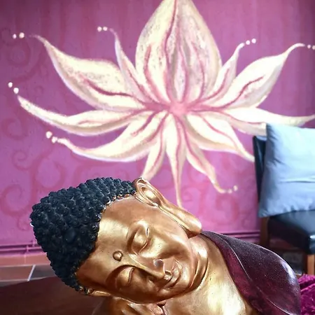 Ashram Sunshine Sitges