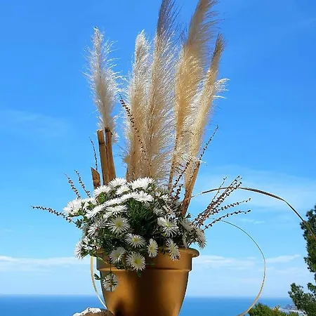 Ashram Sunshine * Sitges